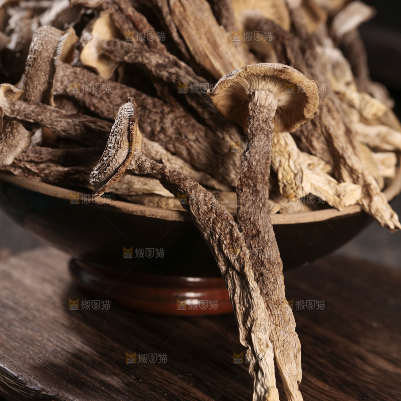 鹿茸菇