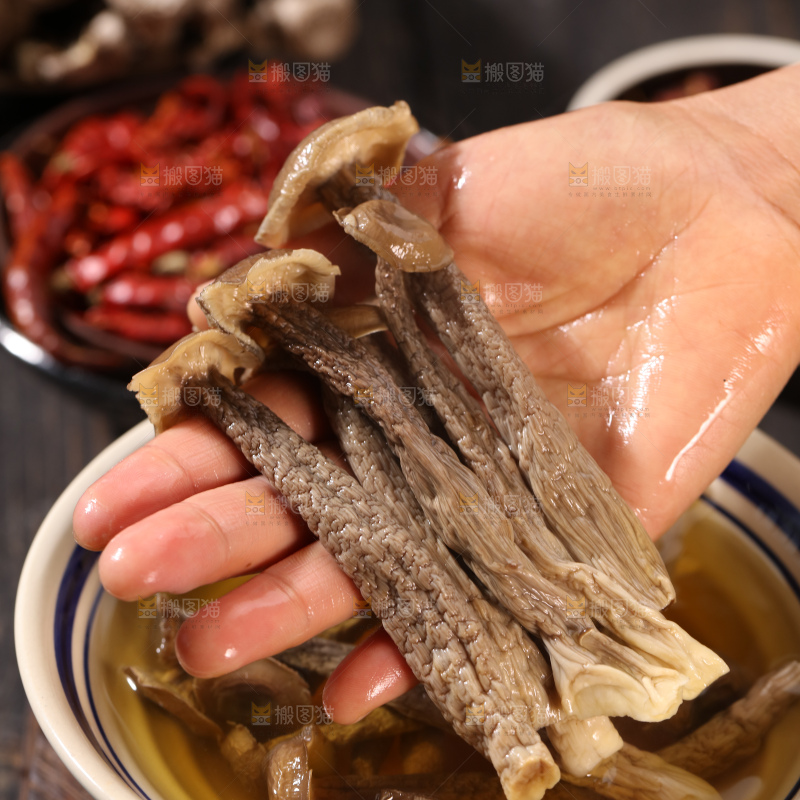 鹿茸菇