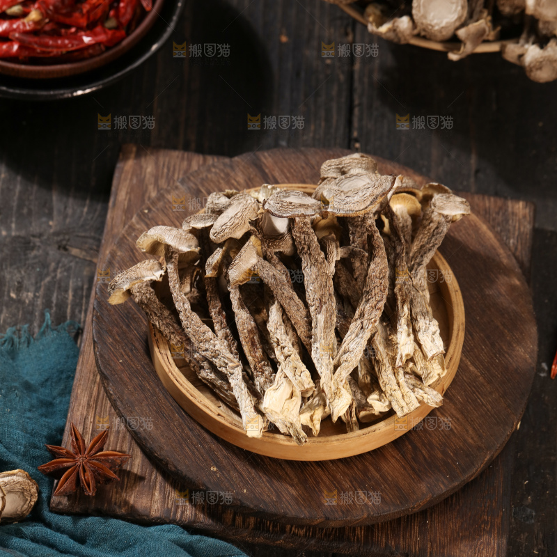 鹿茸菇