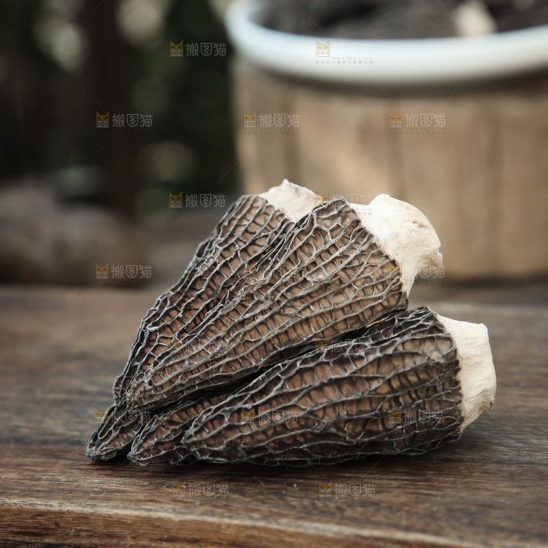 羊肚菌