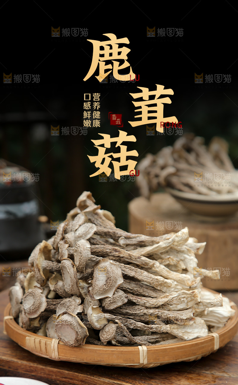 鹿茸菇详情页