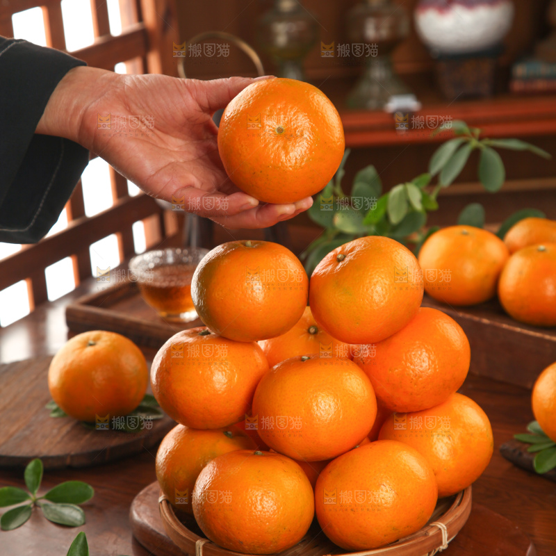 武鸣沃柑