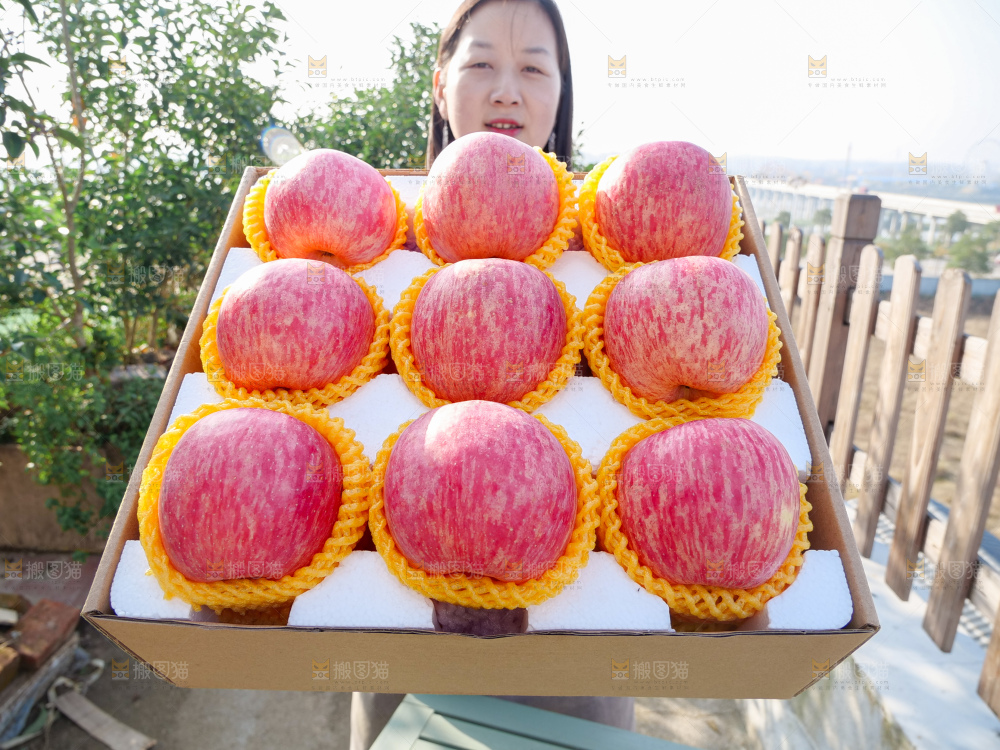 洛川苹果