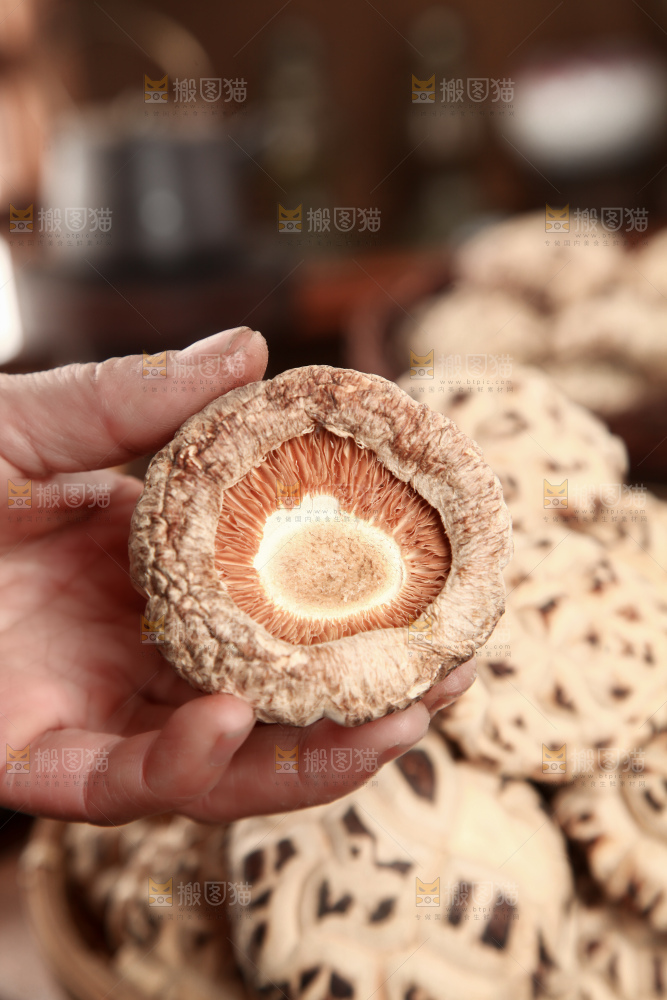 花菇