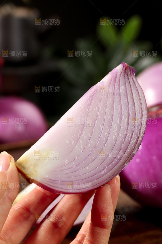 洋葱