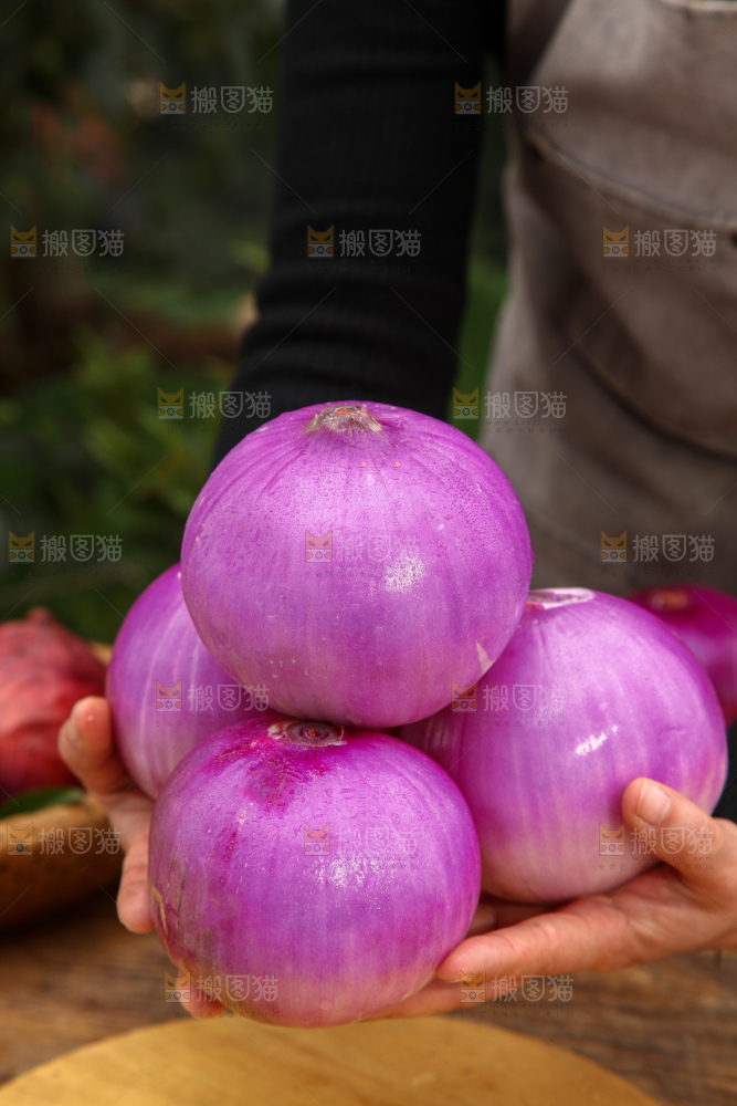 洋葱