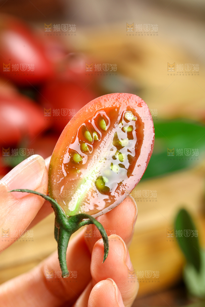 紫弹头小番茄