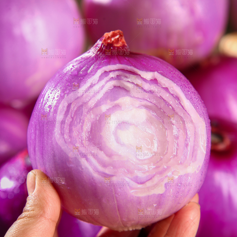 洋葱