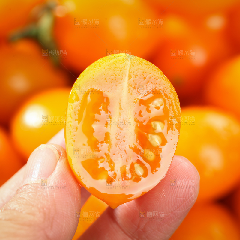 黄金小番茄