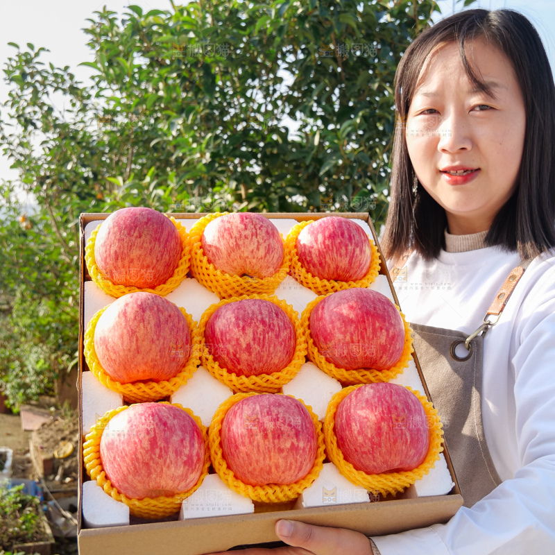 洛川苹果
