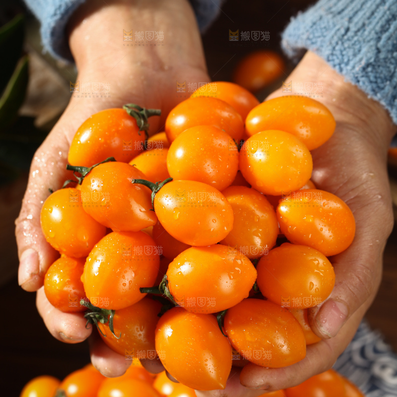 黄金小番茄