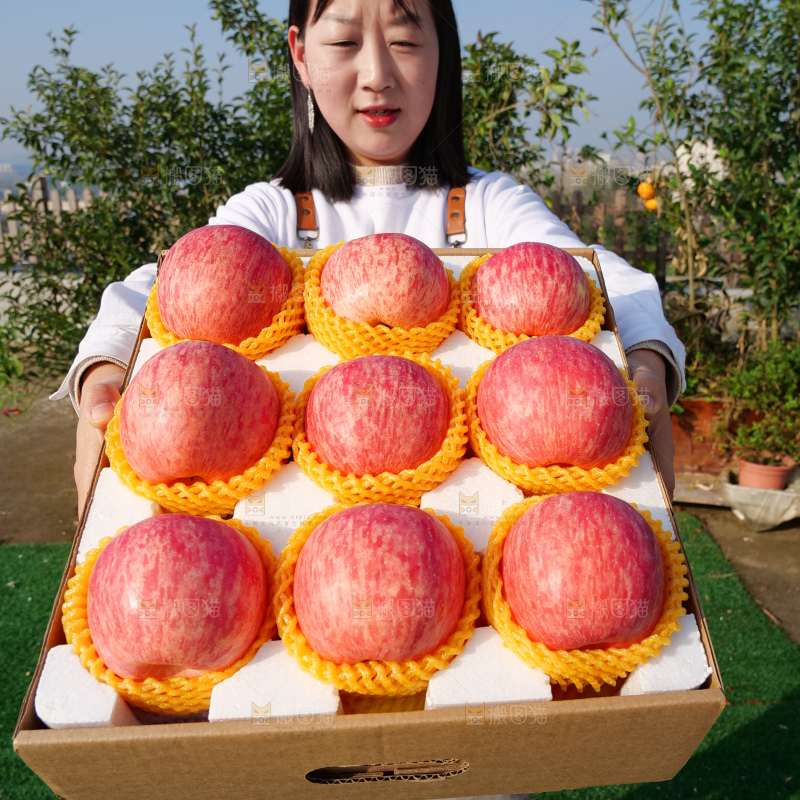 洛川苹果