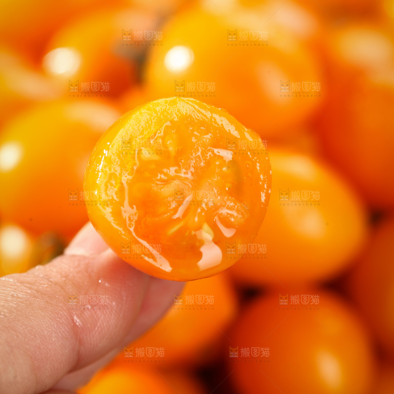 黄金小番茄