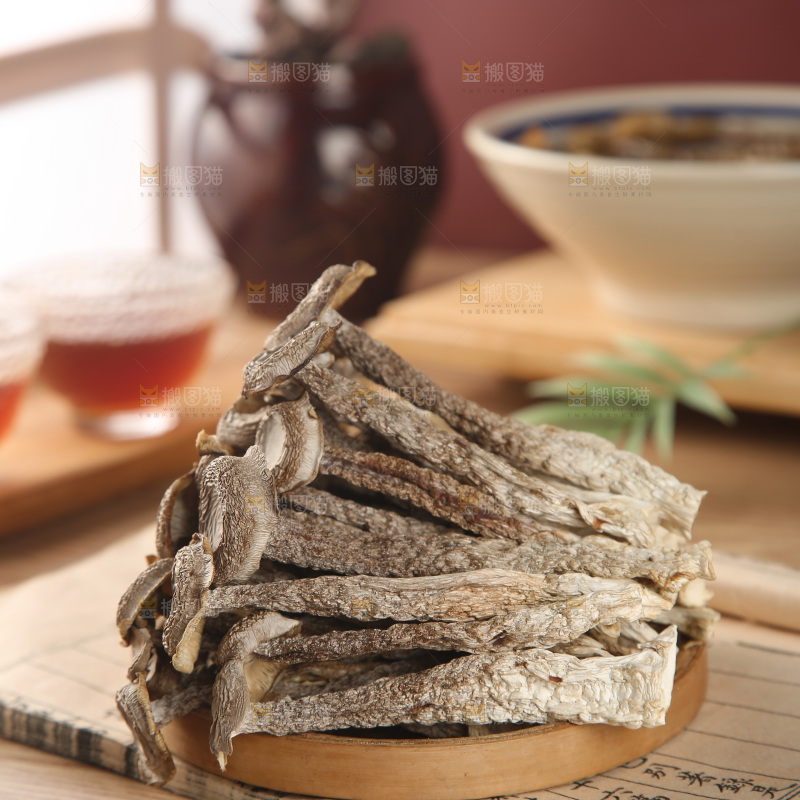 鹿茸菇