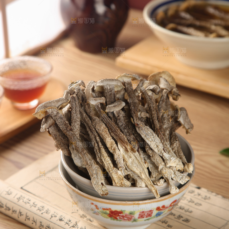 鹿茸菇