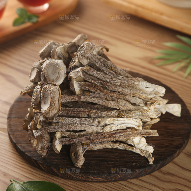 鹿茸菇