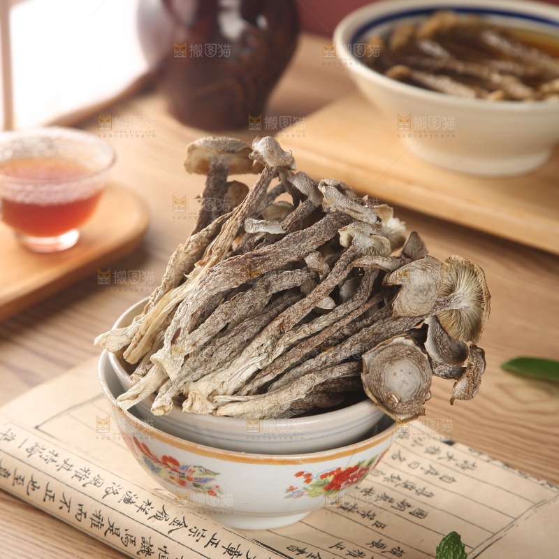 鹿茸菇