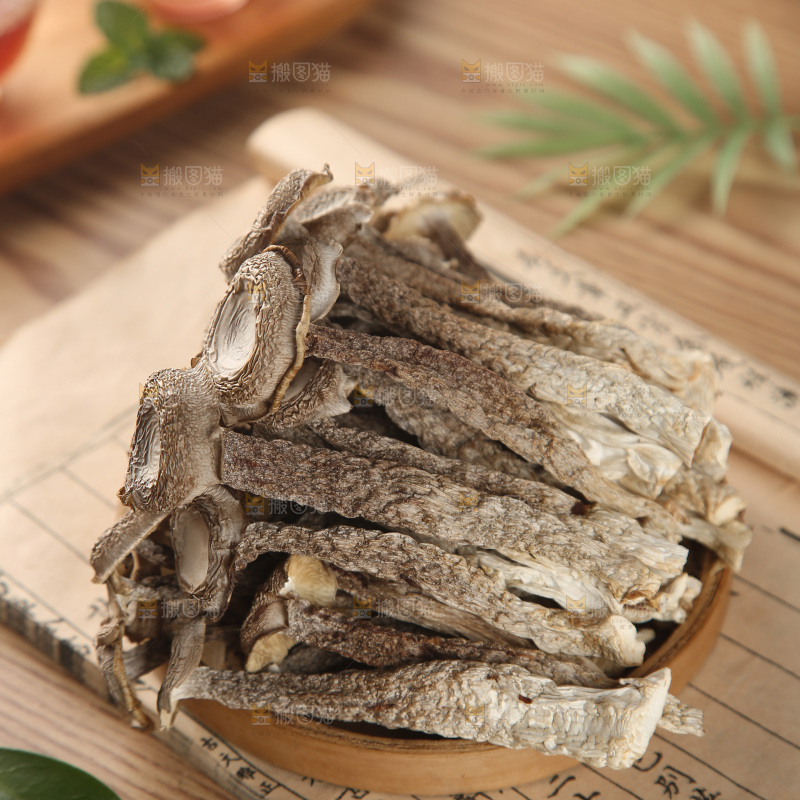 鹿茸菇
