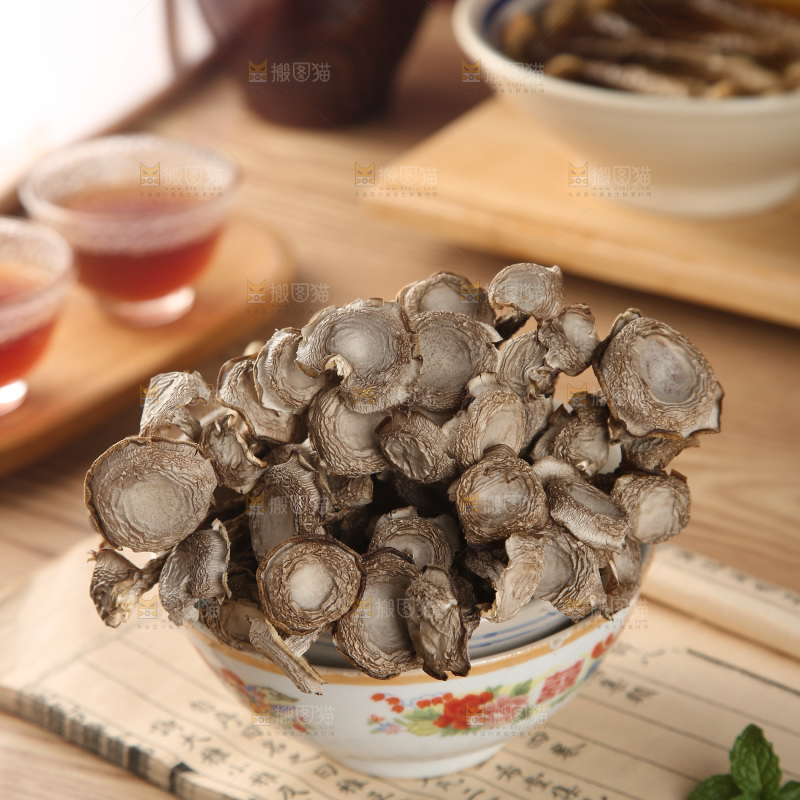 鹿茸菇