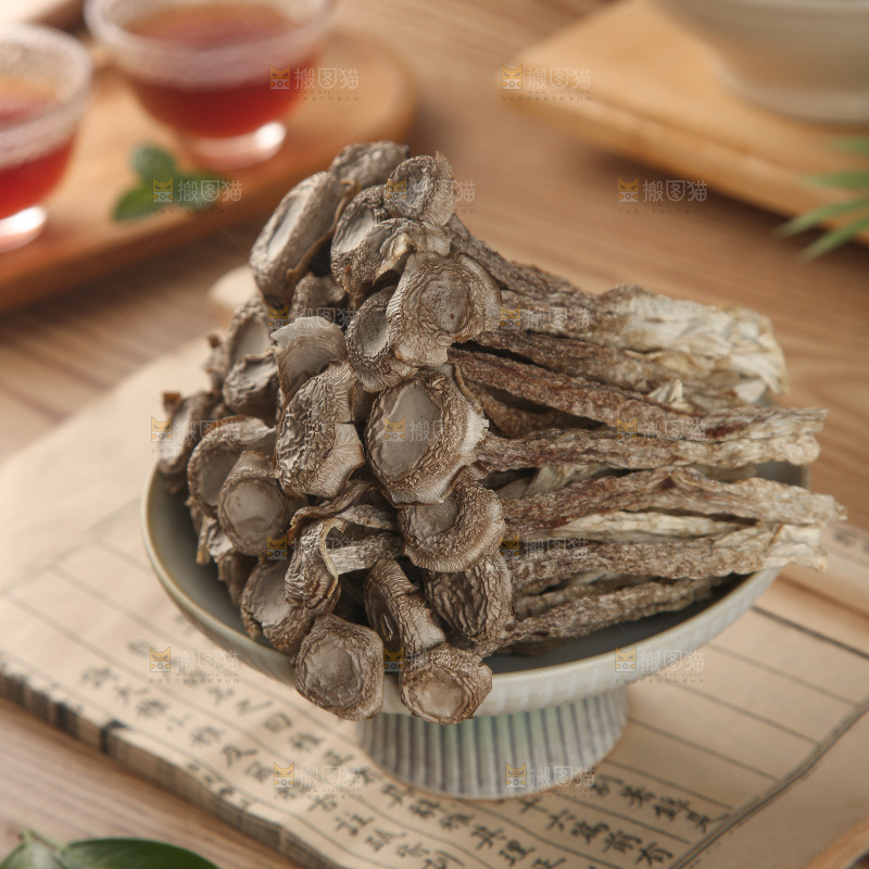 鹿茸菇