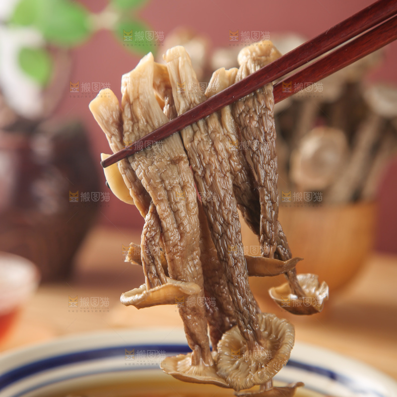 鹿茸菇