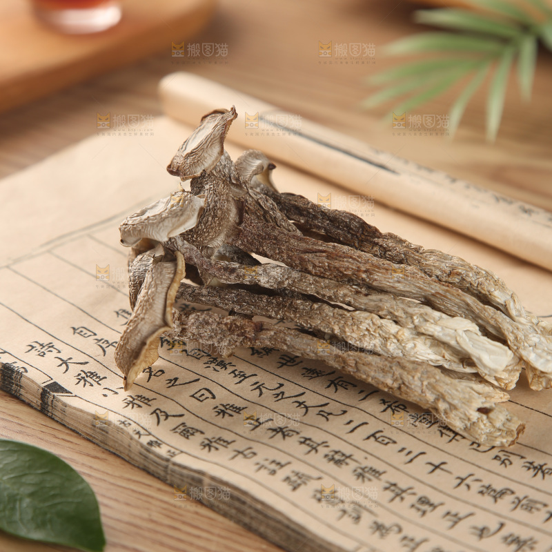 鹿茸菇