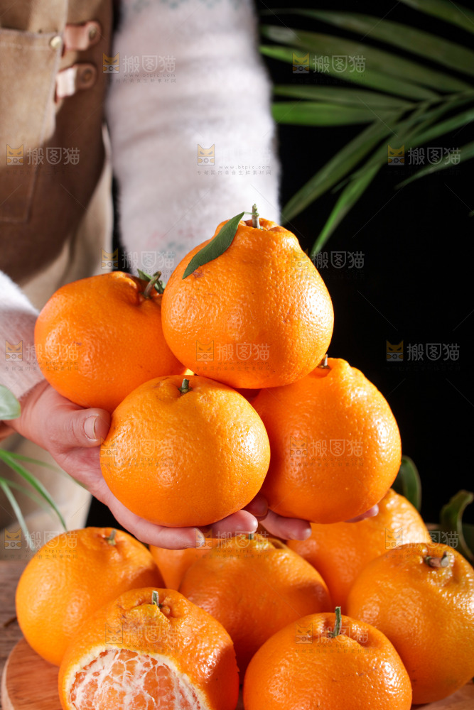 春见耙耙柑