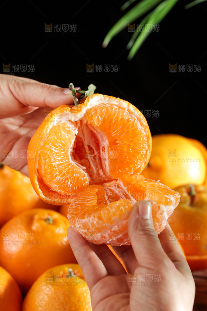 春见耙耙柑