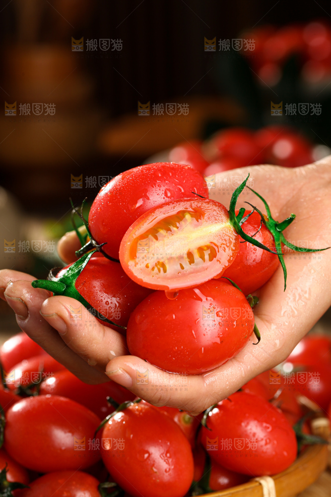圣女果