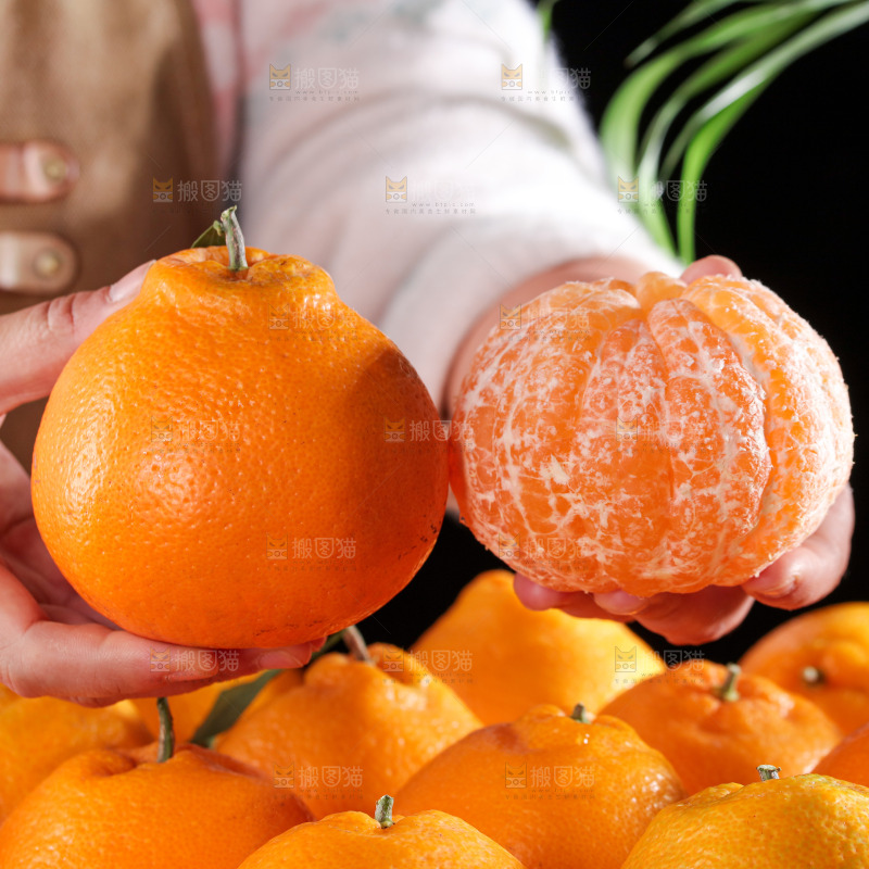 春见耙耙柑