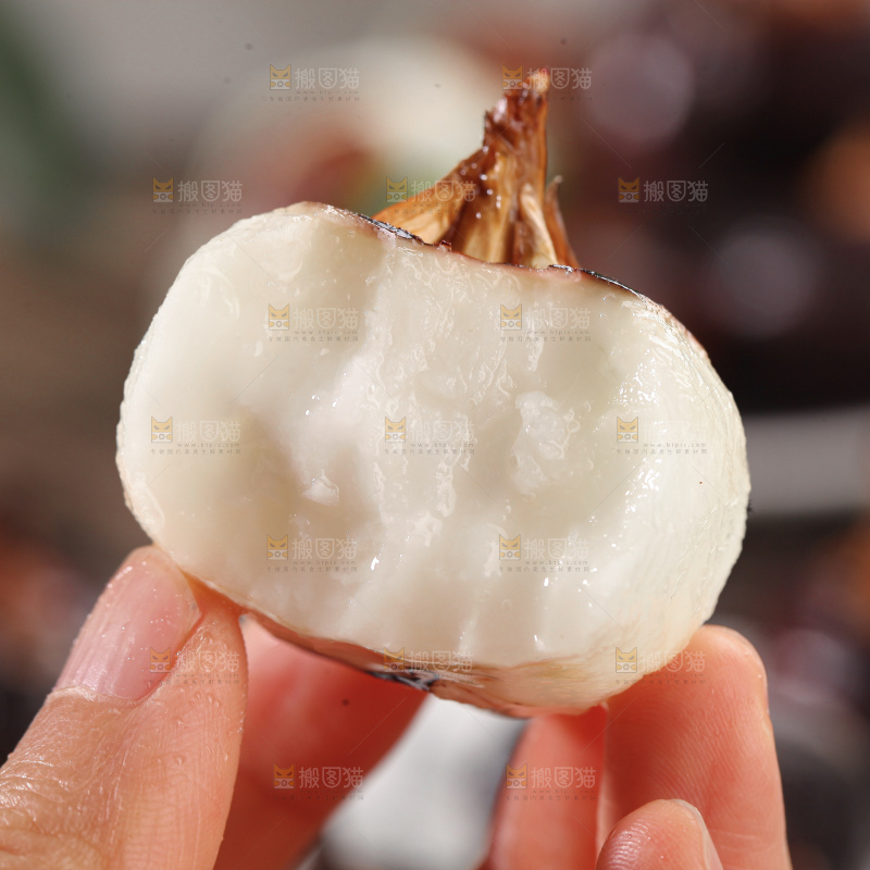 马蹄
