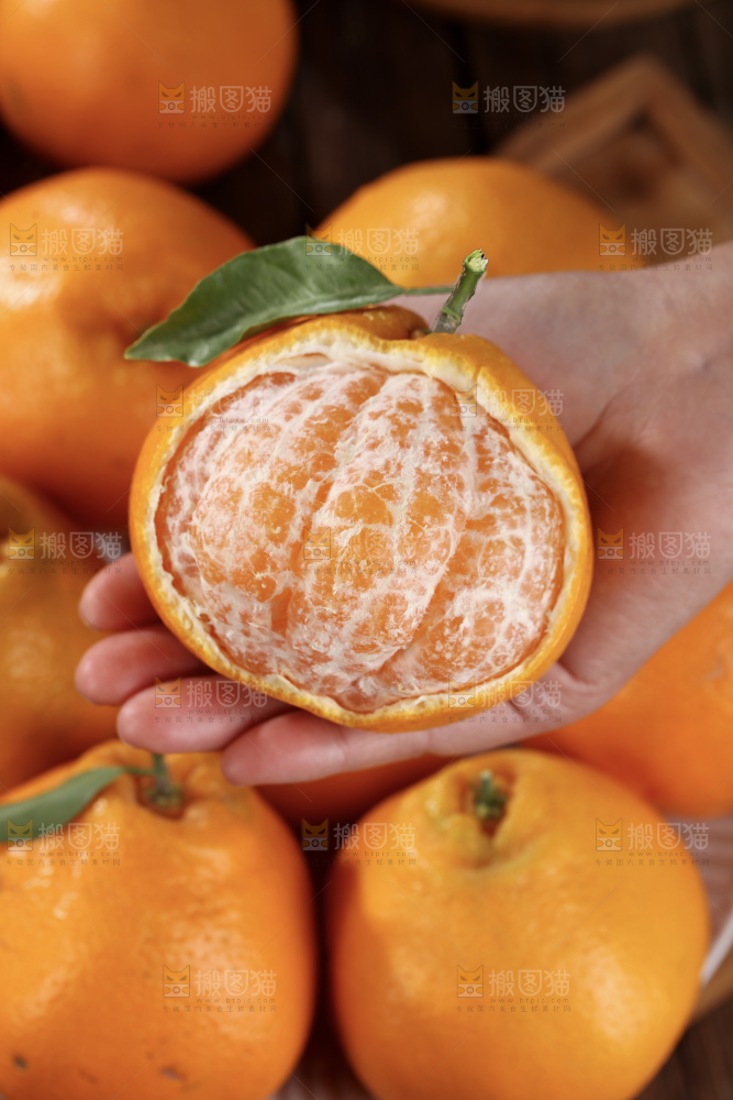 春见耙耙柑