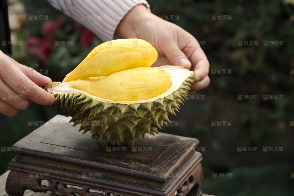 巴掌榴莲