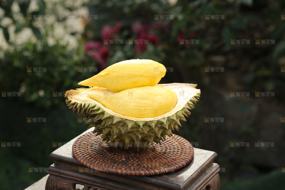 巴掌榴莲