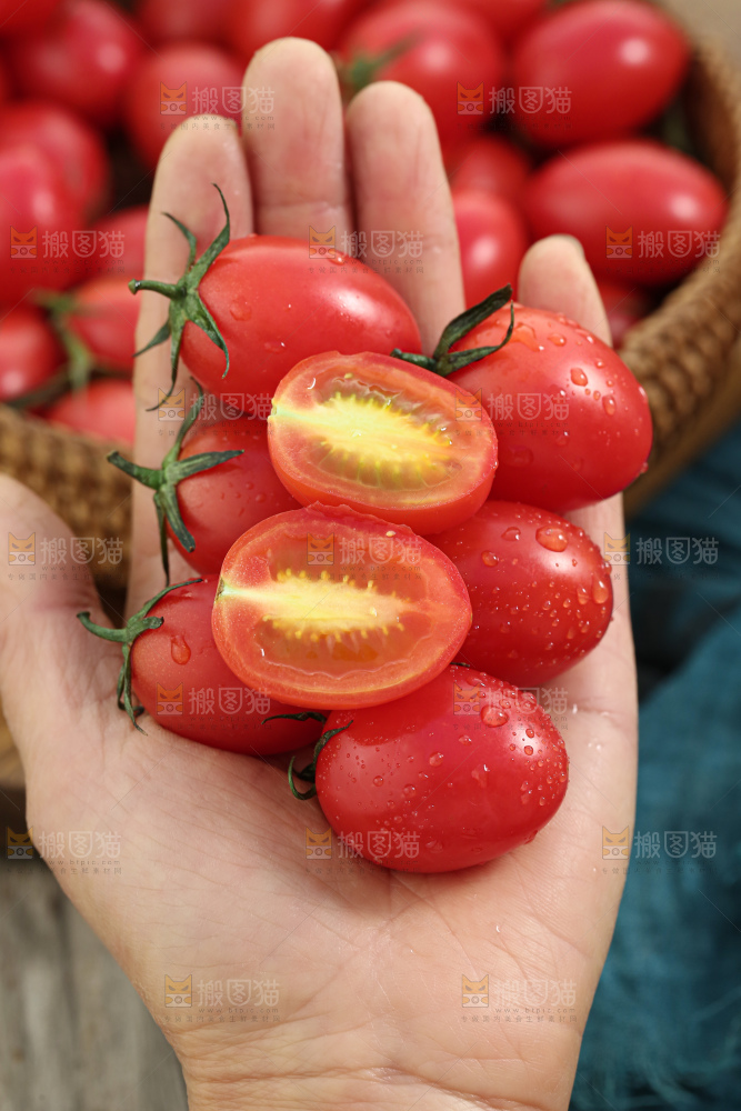 圣女果
