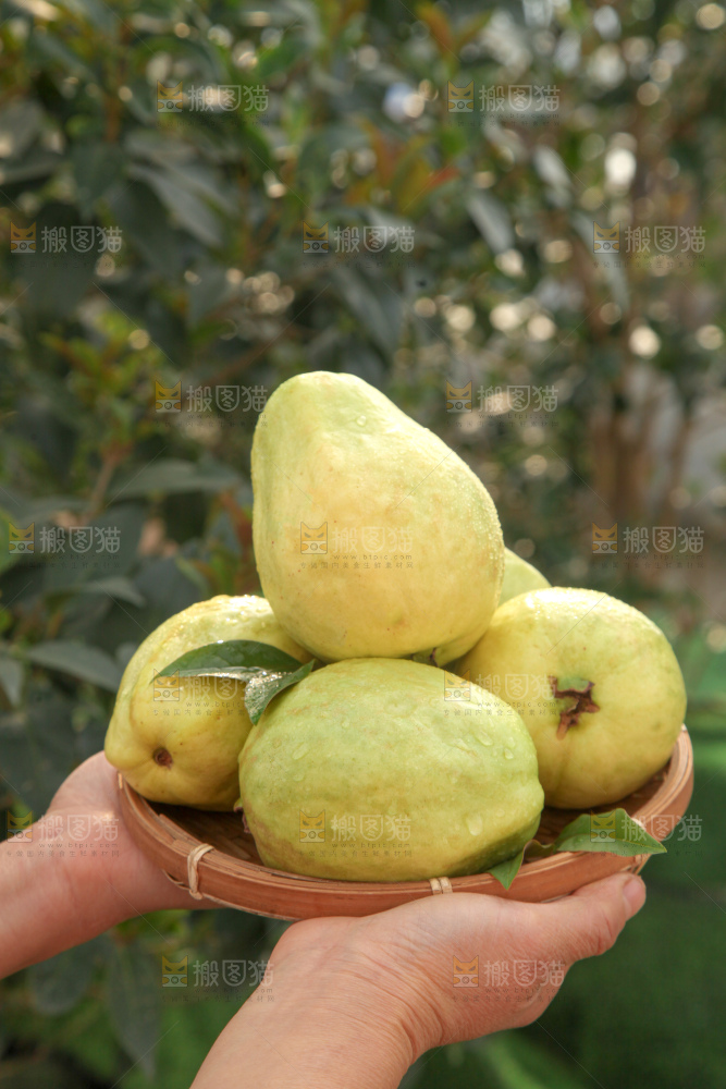 奶油芭乐