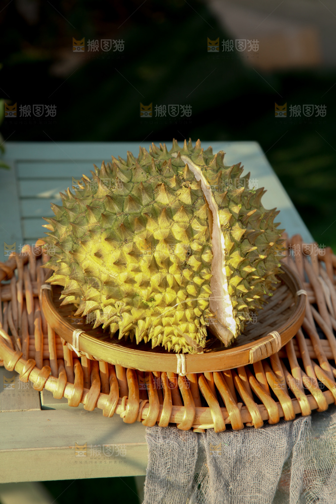 巴掌榴莲