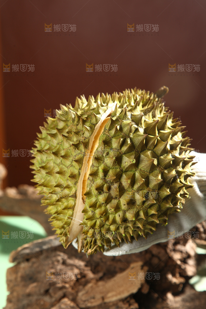 巴掌榴莲