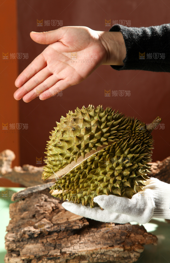 巴掌榴莲