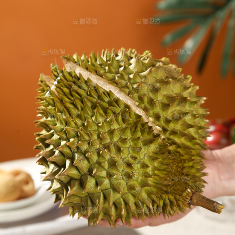巴掌榴莲