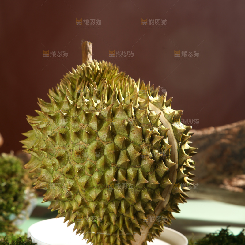 巴掌榴莲