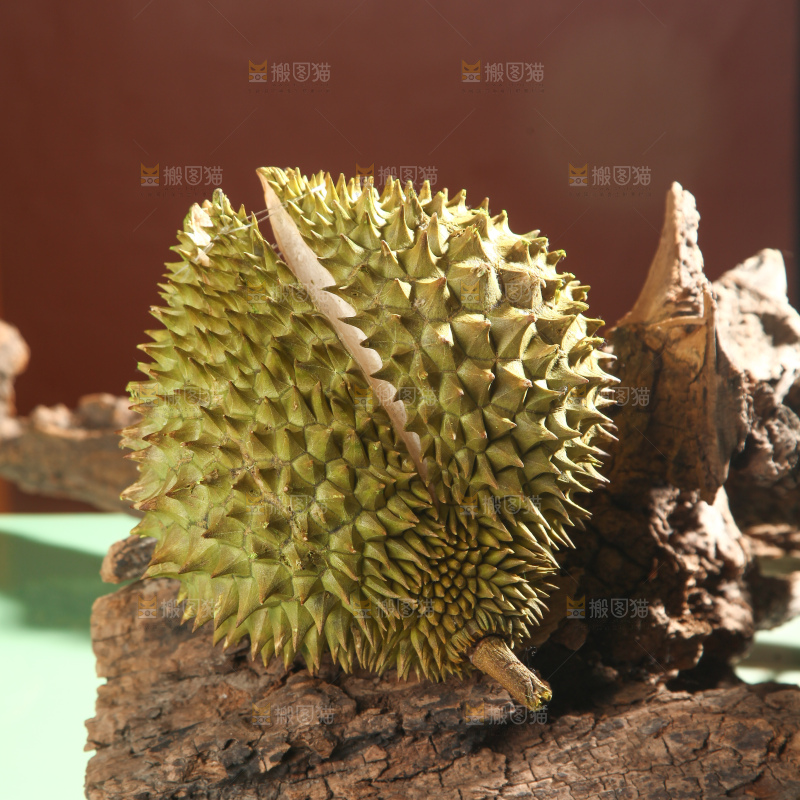 巴掌榴莲