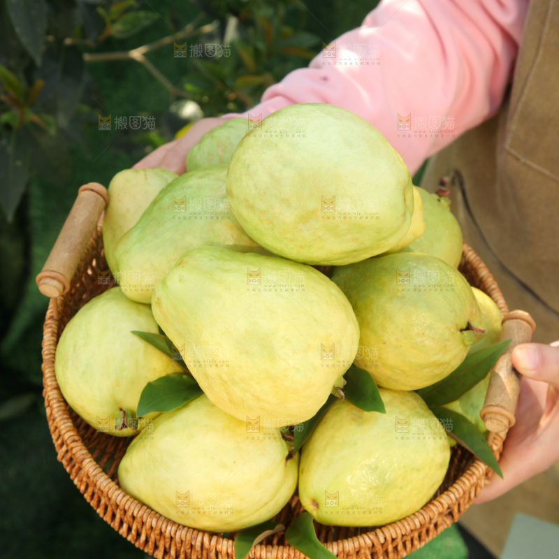 奶油芭乐