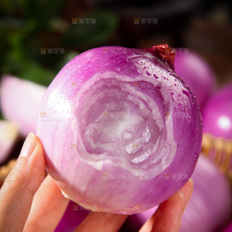 洋葱