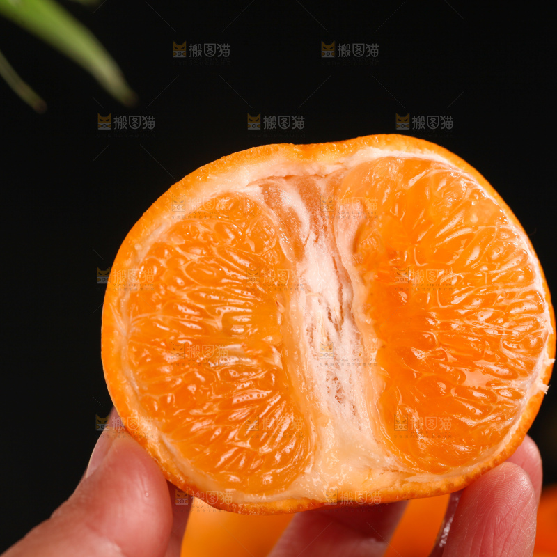 沃柑