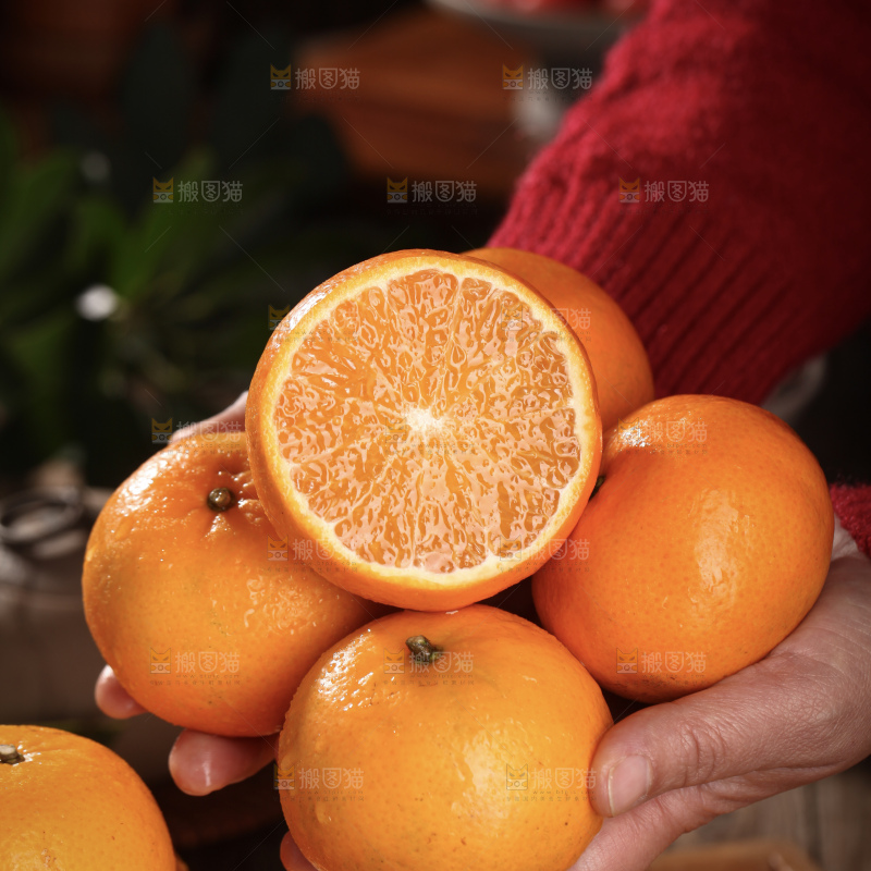 沃柑