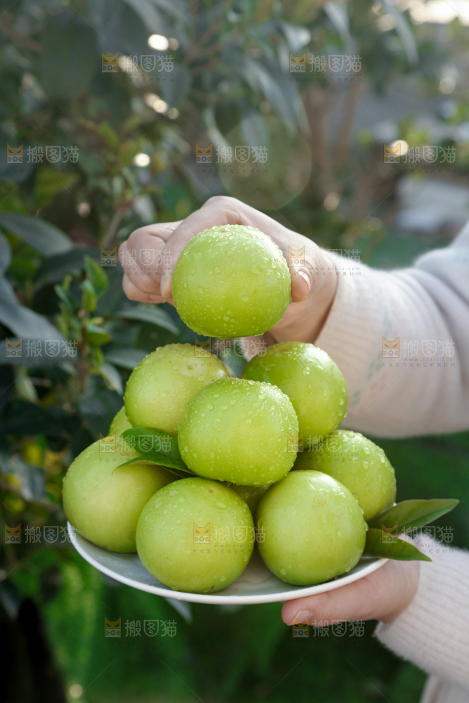 牛奶苹果枣