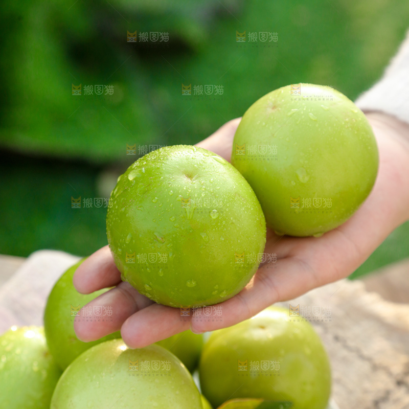 牛奶苹果枣