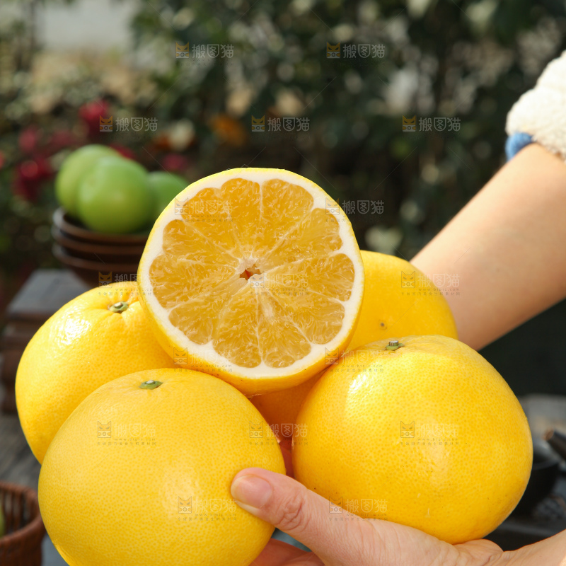 黄金葡萄柚