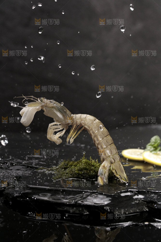 皮皮虾